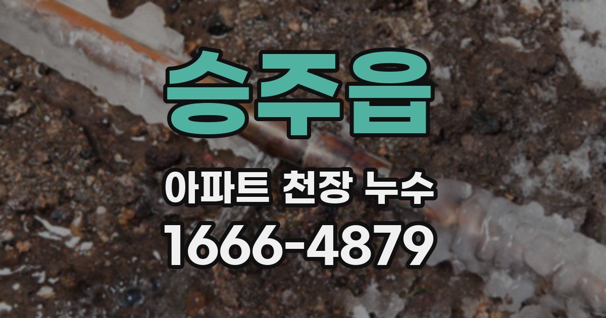 승주읍 아파트 천장 누수