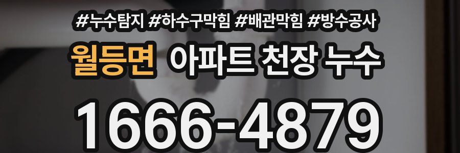 월등면 아파트 천장 누수