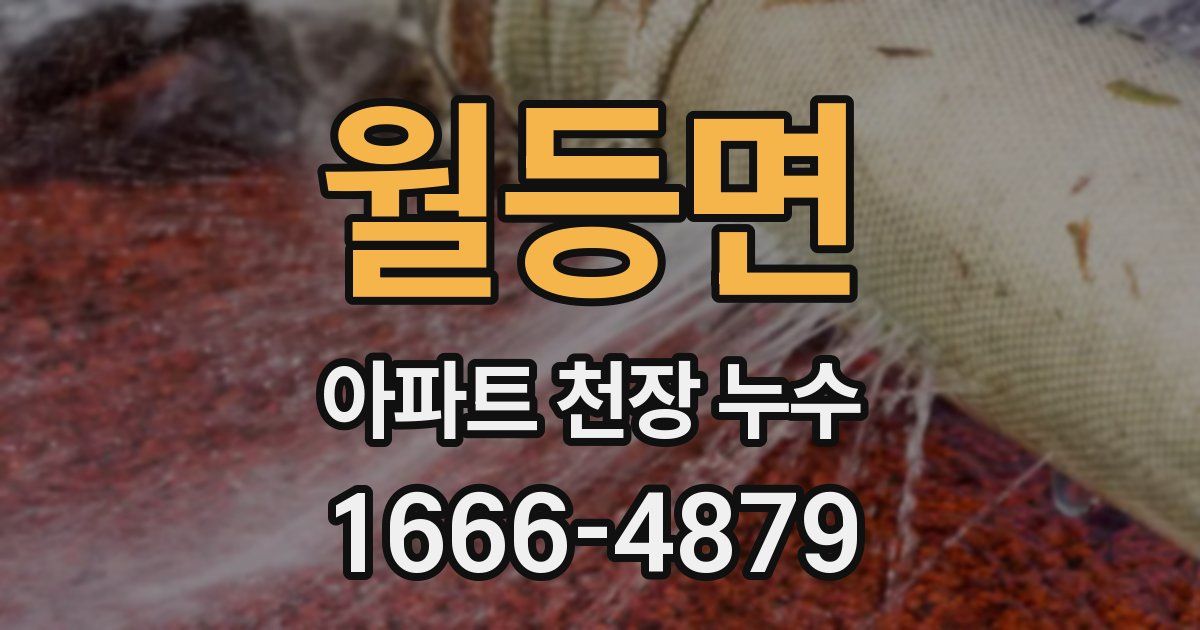 월등면 아파트 천장 누수