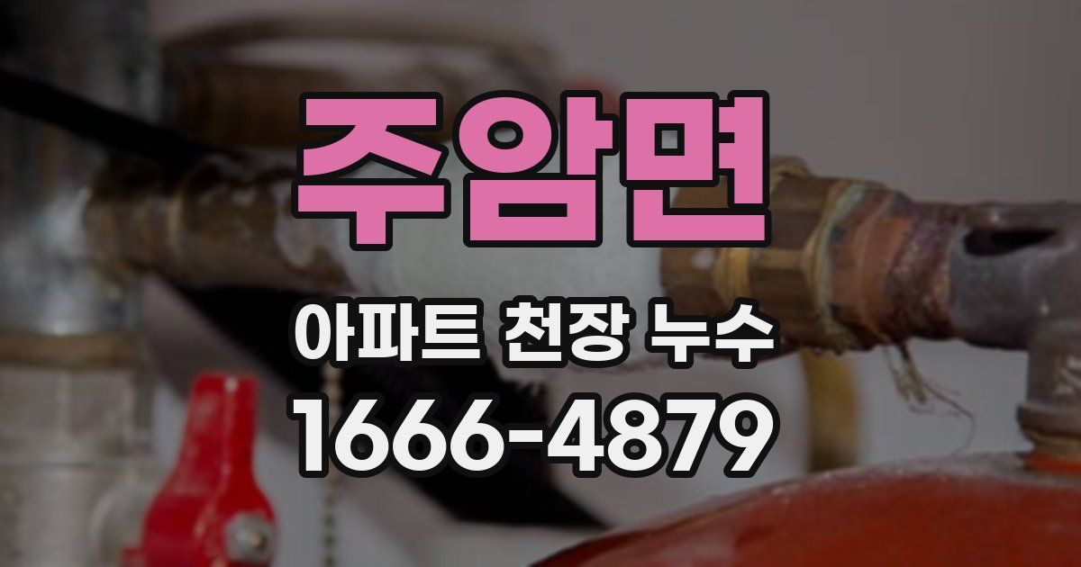 주암면 아파트 천장 누수
