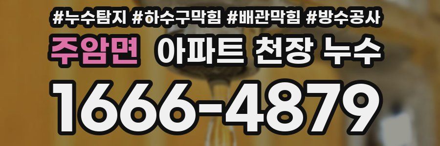 주암면 아파트 천장 누수