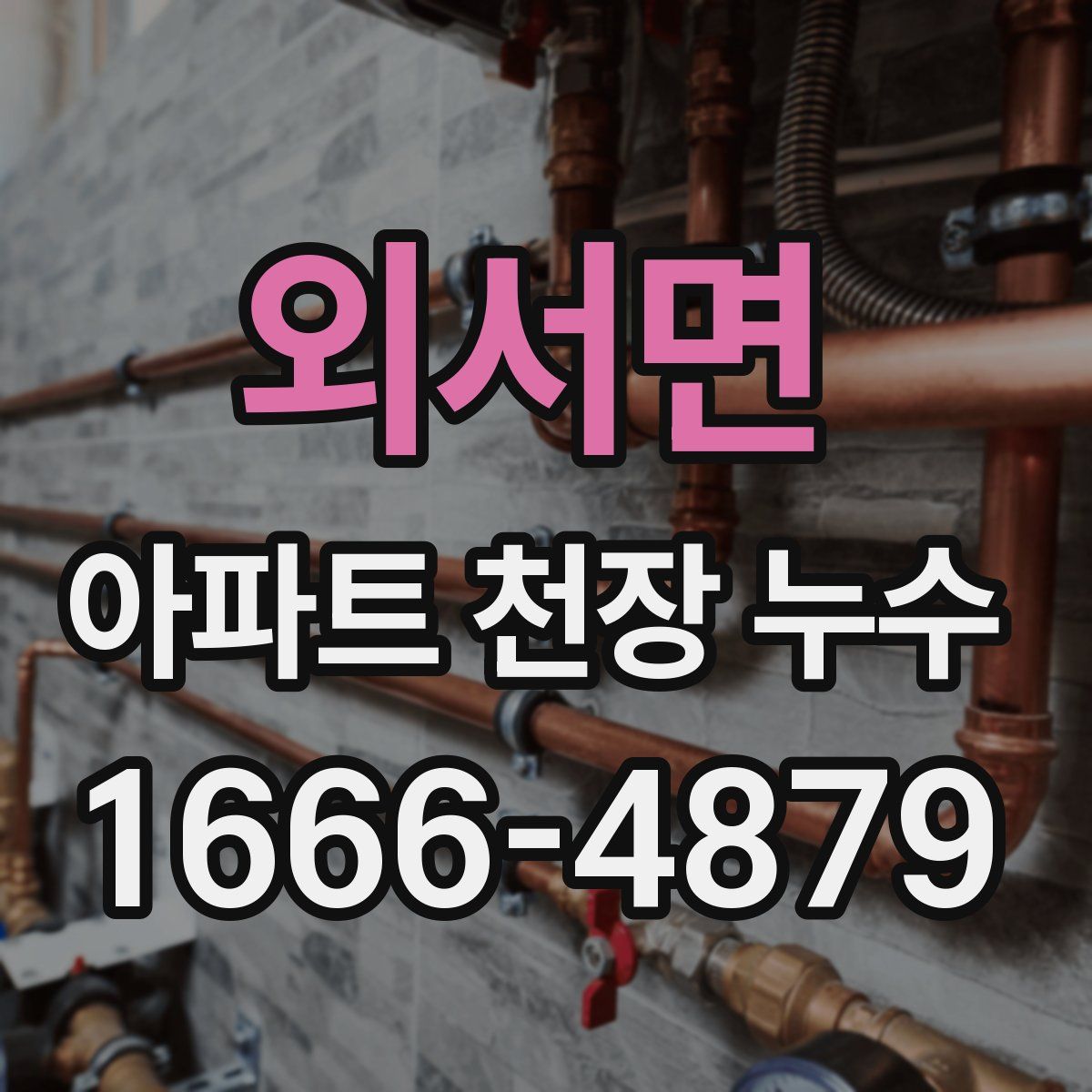 외서면 아파트 천장 누수