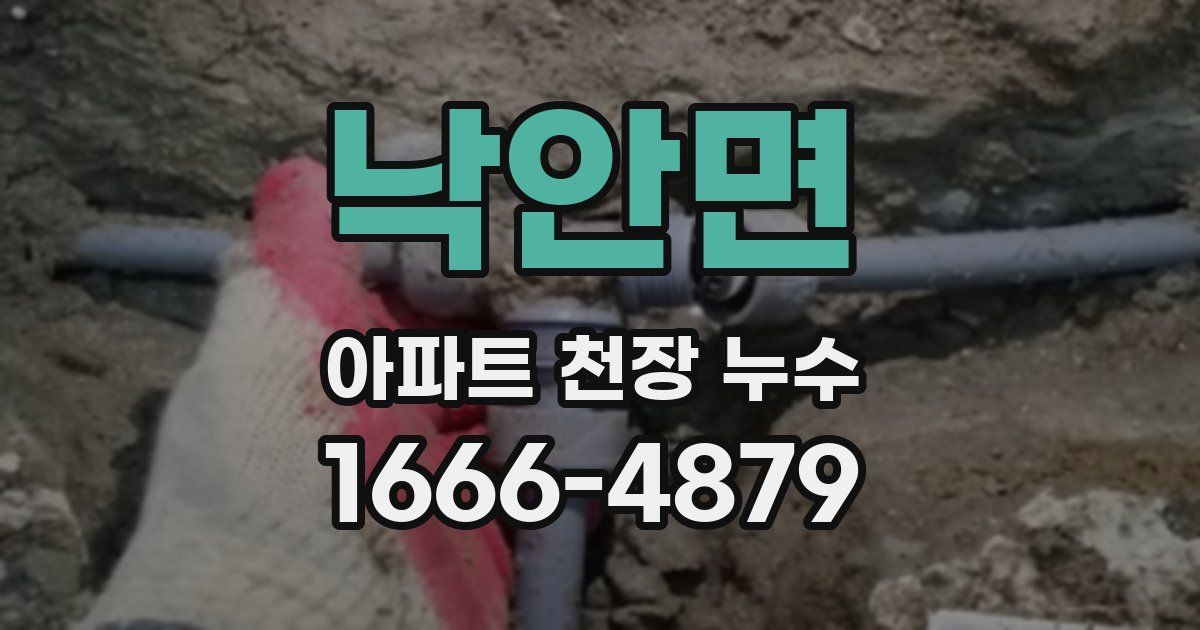 낙안면 아파트 천장 누수