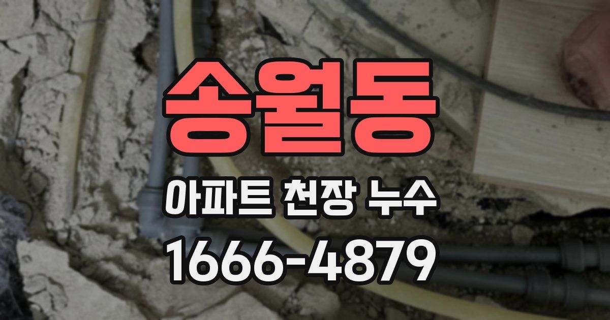 송월동 아파트 천장 누수