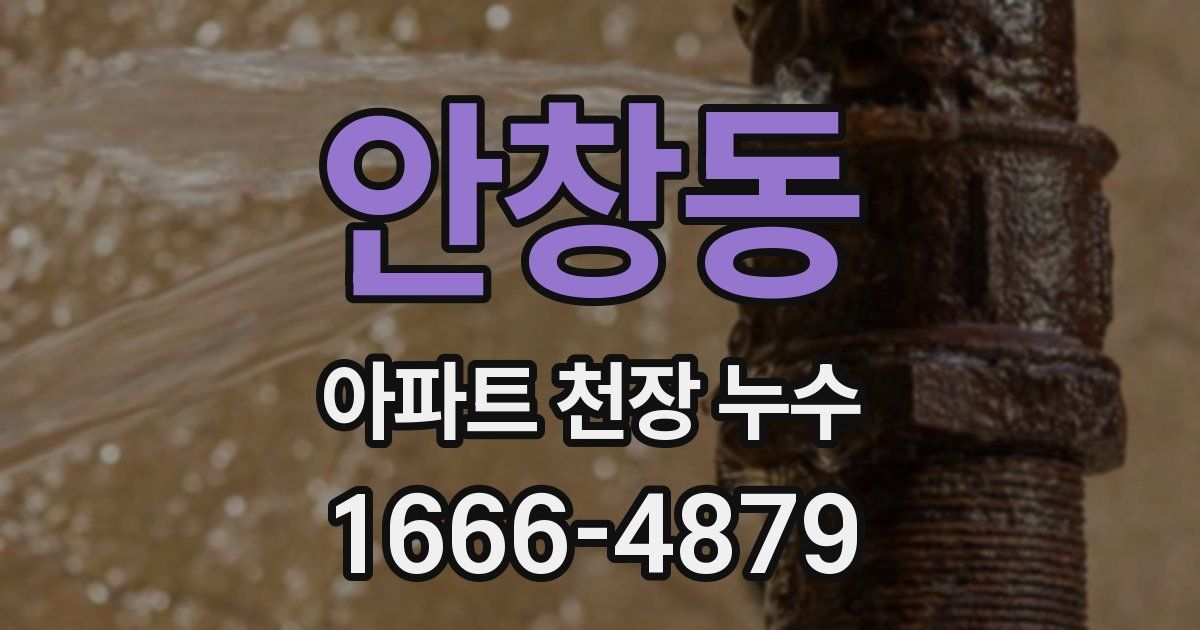 안창동 아파트 천장 누수