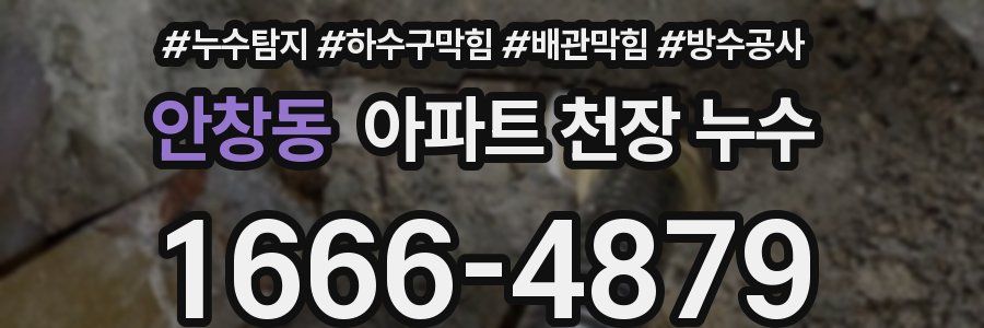 안창동 아파트 천장 누수