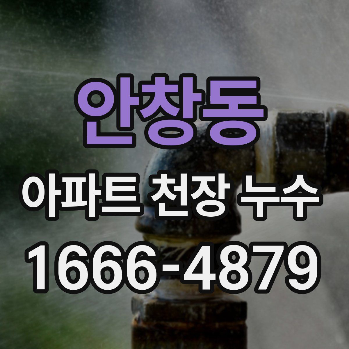 안창동 아파트 천장 누수