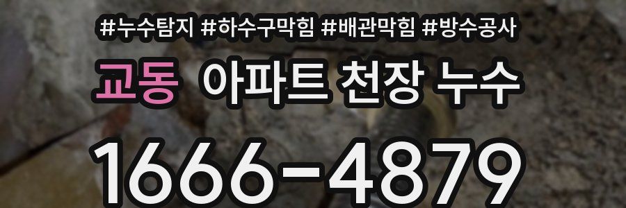 교동 아파트 천장 누수