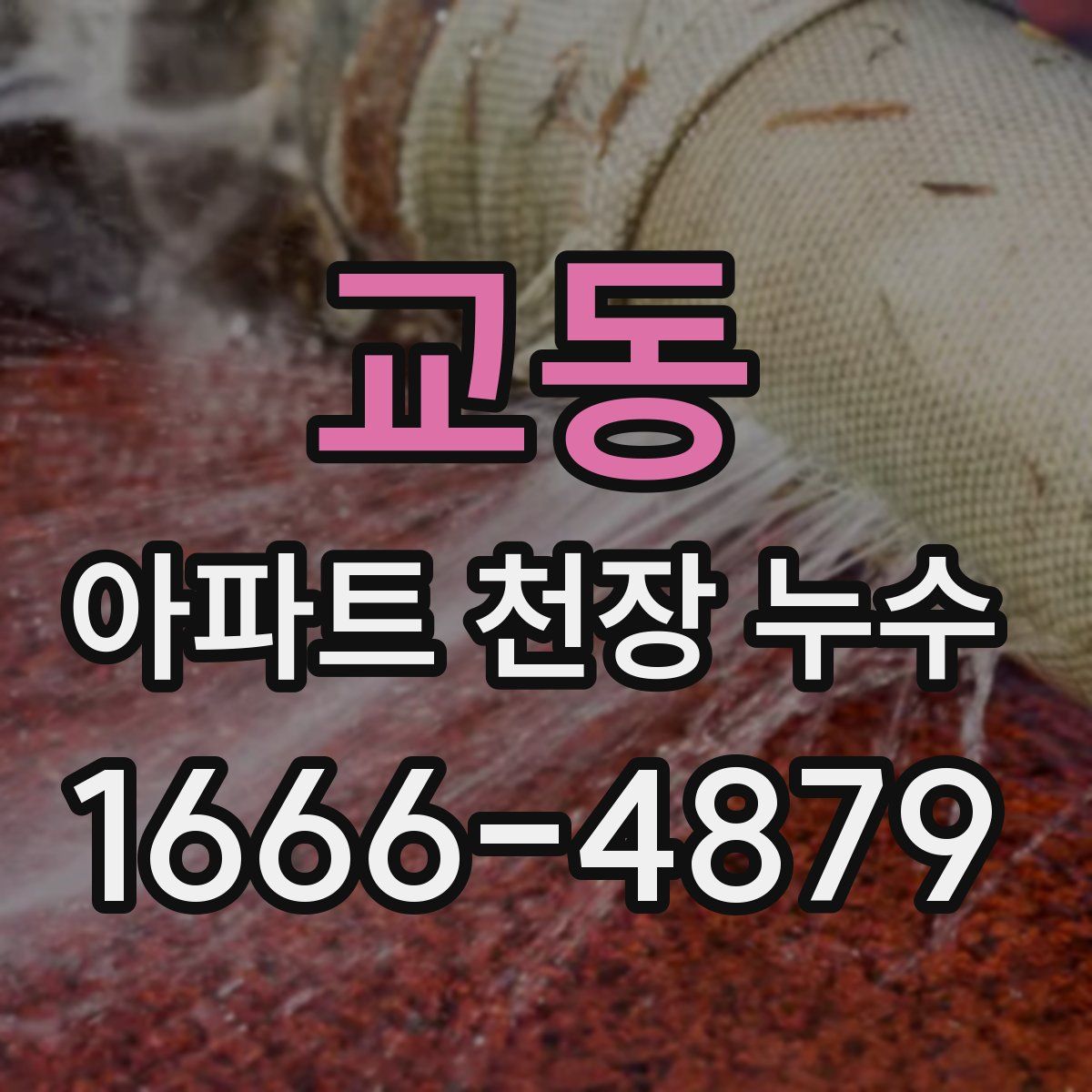 교동 아파트 천장 누수