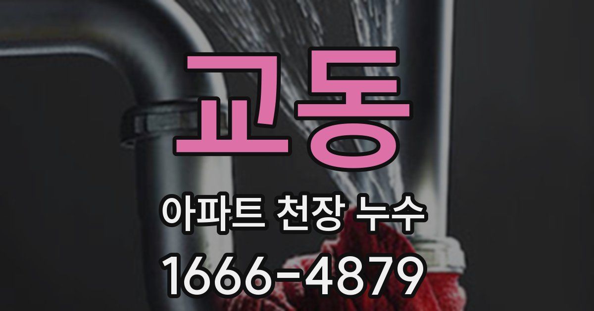 교동 아파트 천장 누수