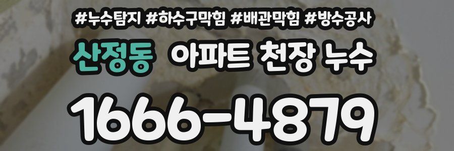 산정동 아파트 천장 누수