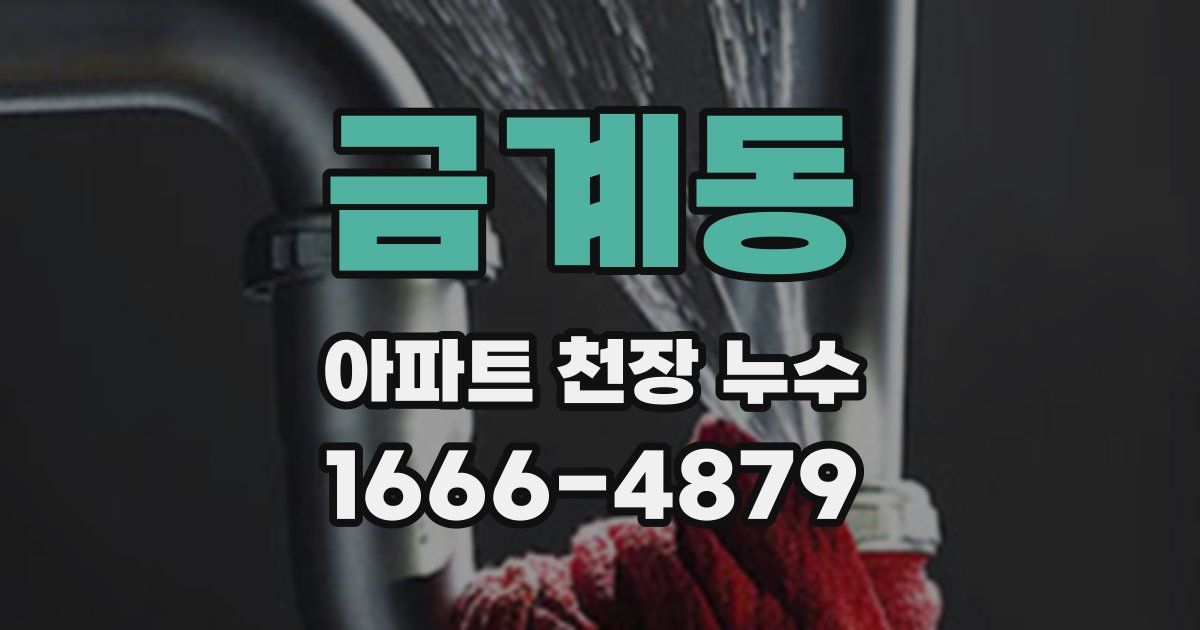 금계동 아파트 천장 누수