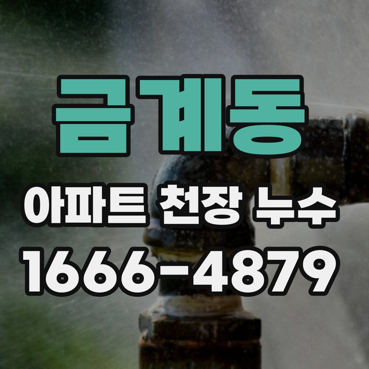 금계동 아파트 천장 누수