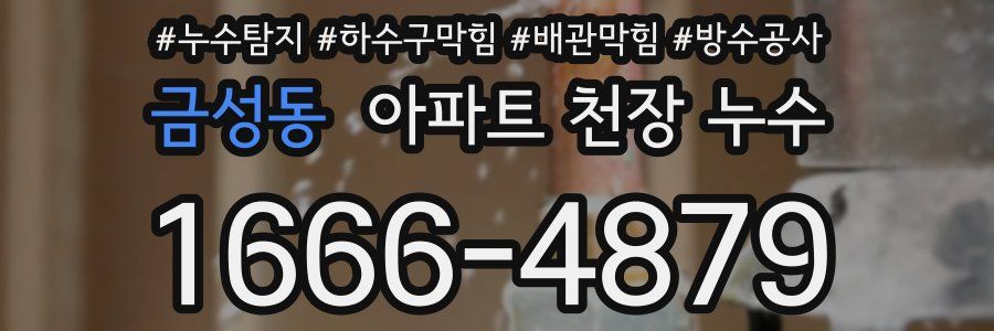 금성동 아파트 천장 누수
