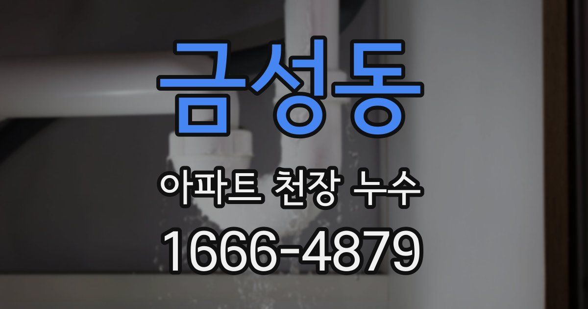 금성동 아파트 천장 누수
