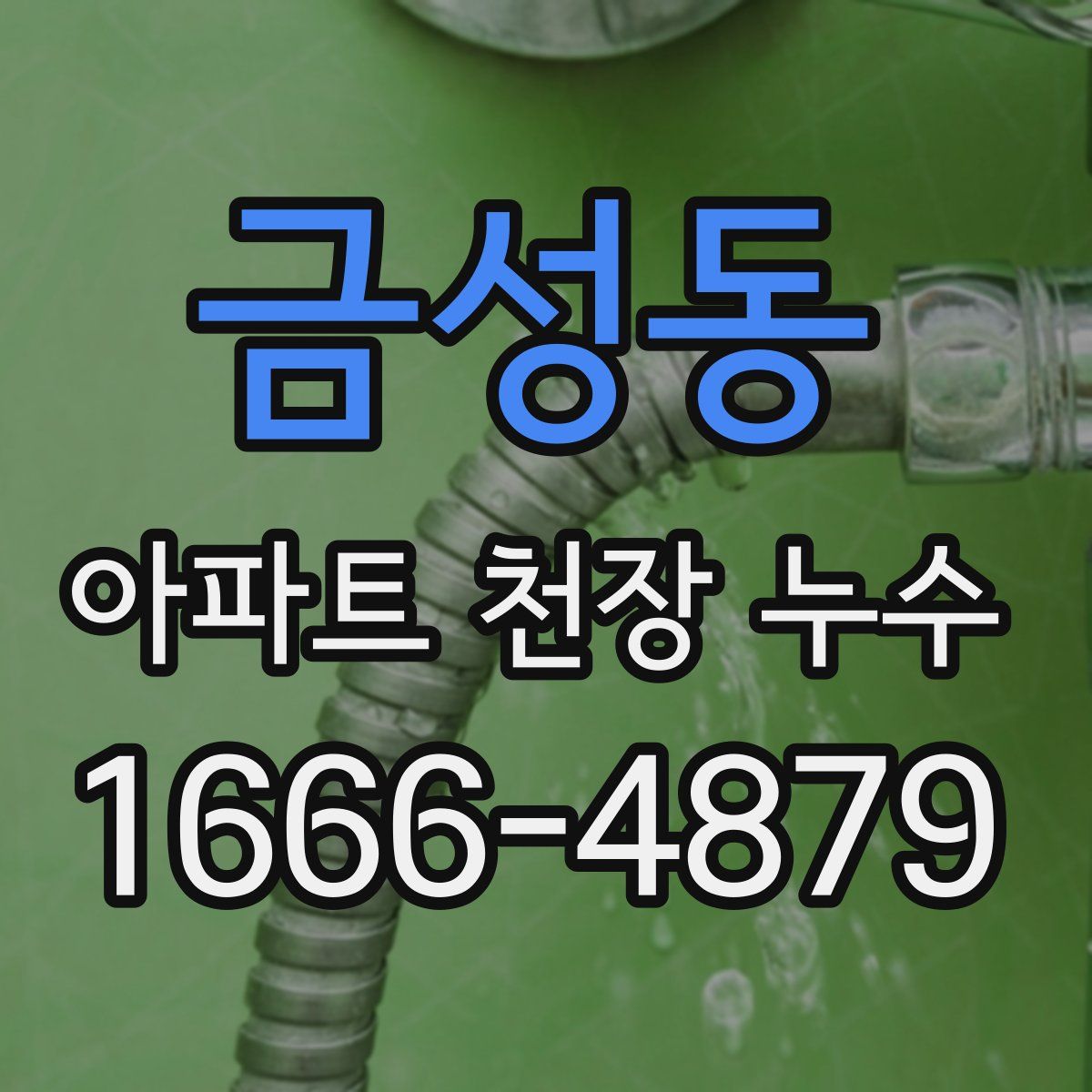 금성동 아파트 천장 누수