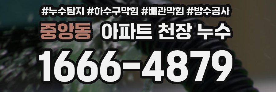 중앙동 아파트 천장 누수