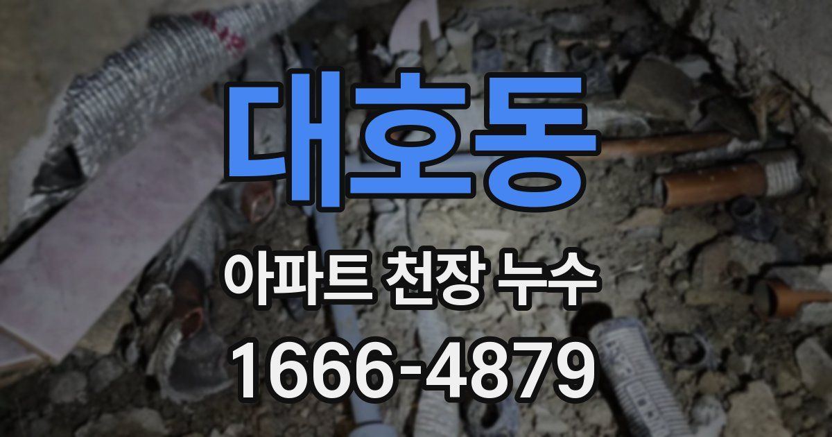 대호동 아파트 천장 누수
