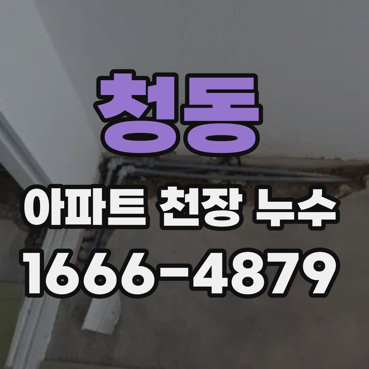 청동 아파트 천장 누수