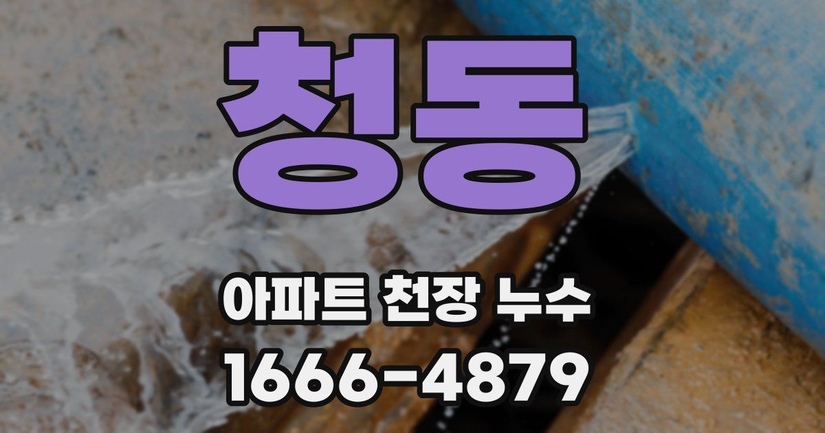 청동 아파트 천장 누수