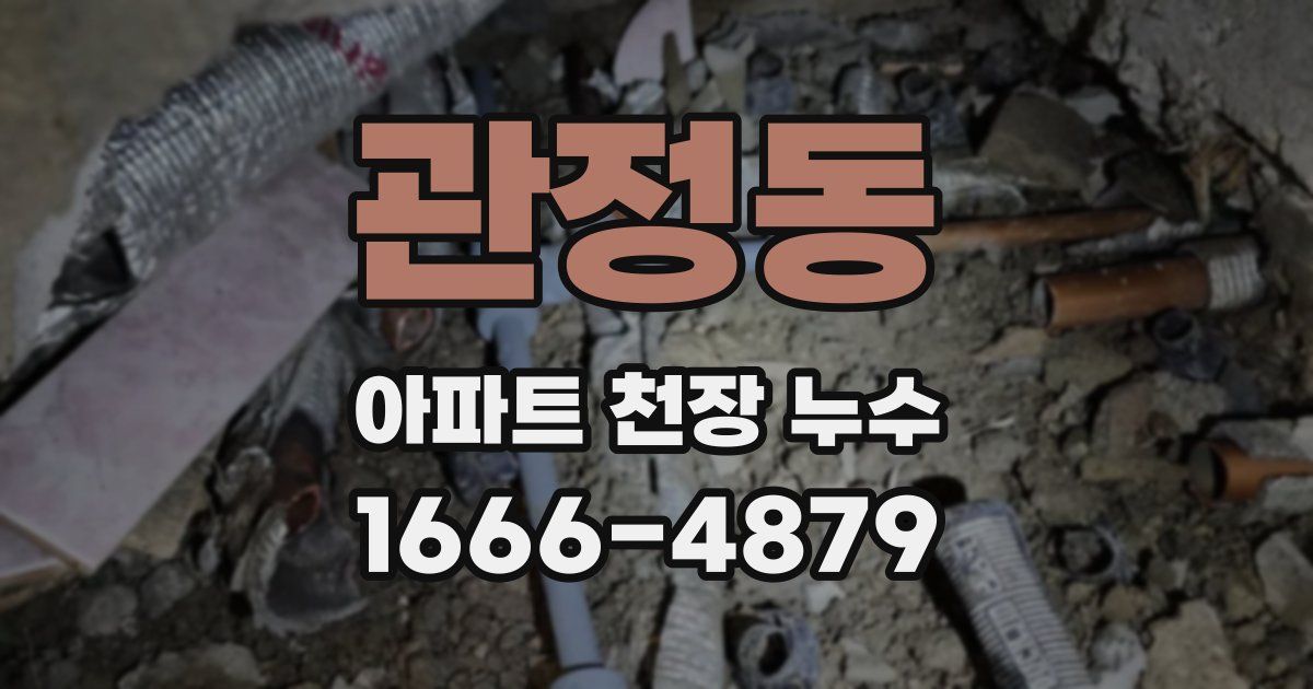 관정동 아파트 천장 누수
