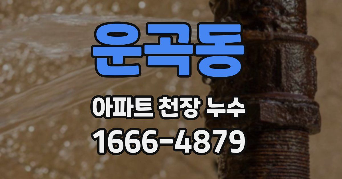 운곡동 아파트 천장 누수