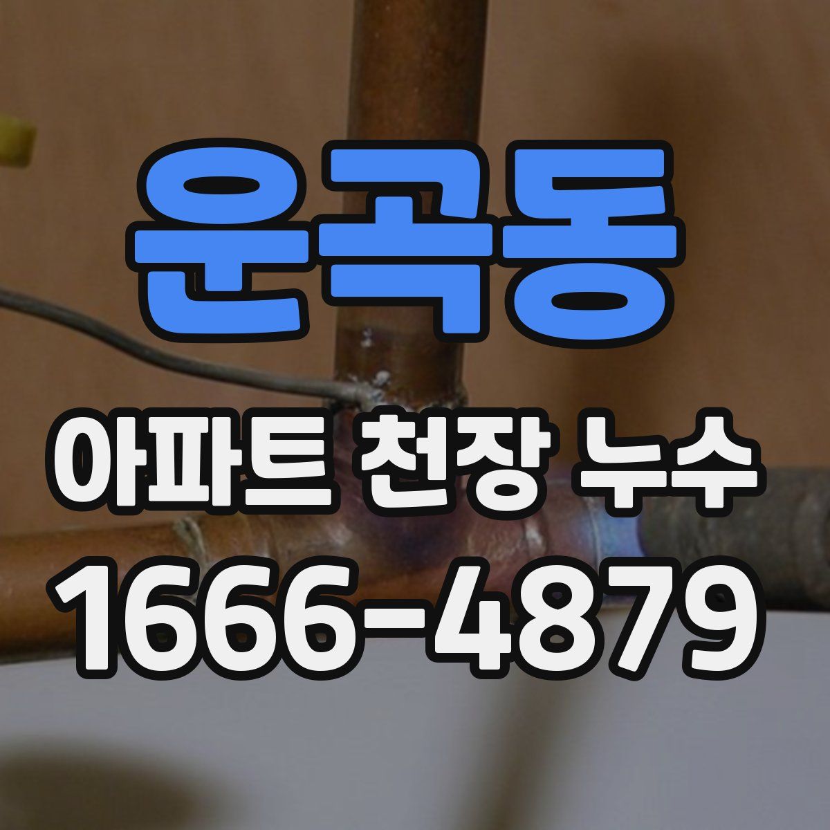 운곡동 아파트 천장 누수