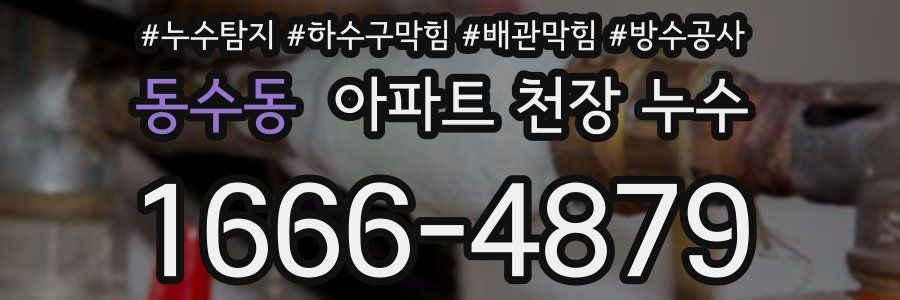동수동 아파트 천장 누수