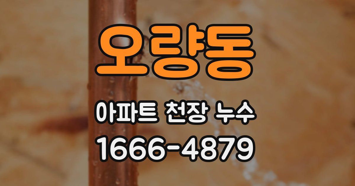 오량동 아파트 천장 누수