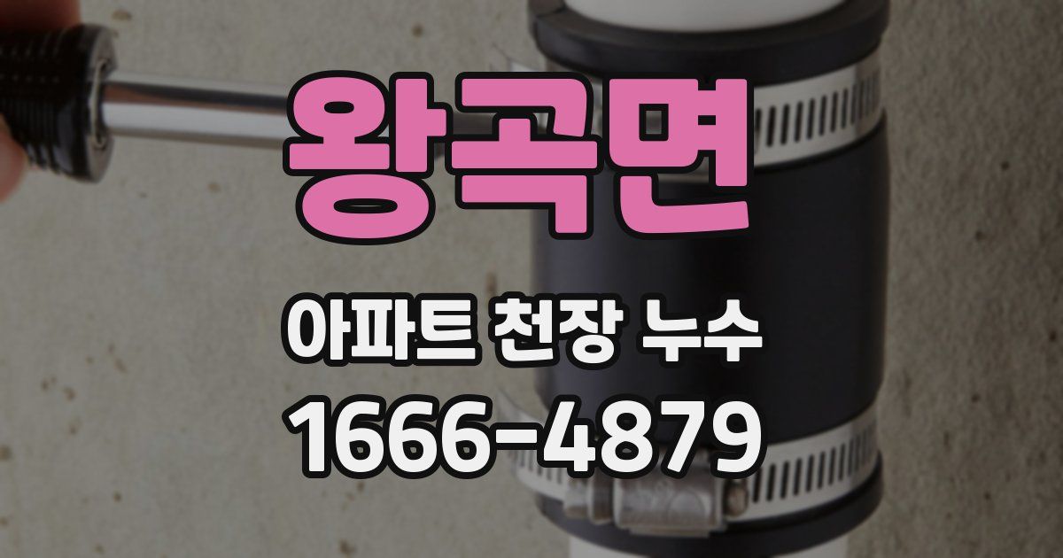 왕곡면 아파트 천장 누수