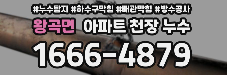 왕곡면 아파트 천장 누수