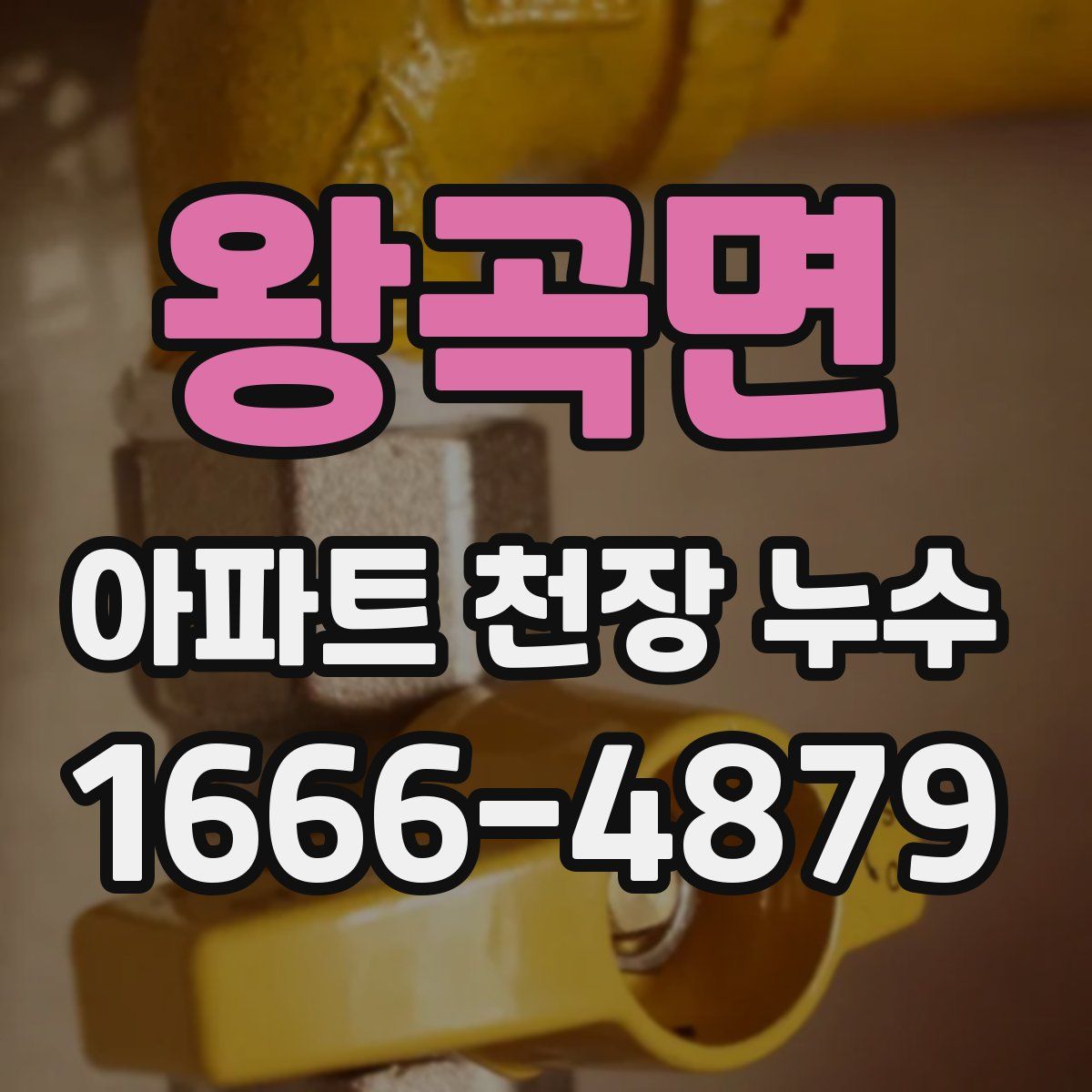 왕곡면 아파트 천장 누수