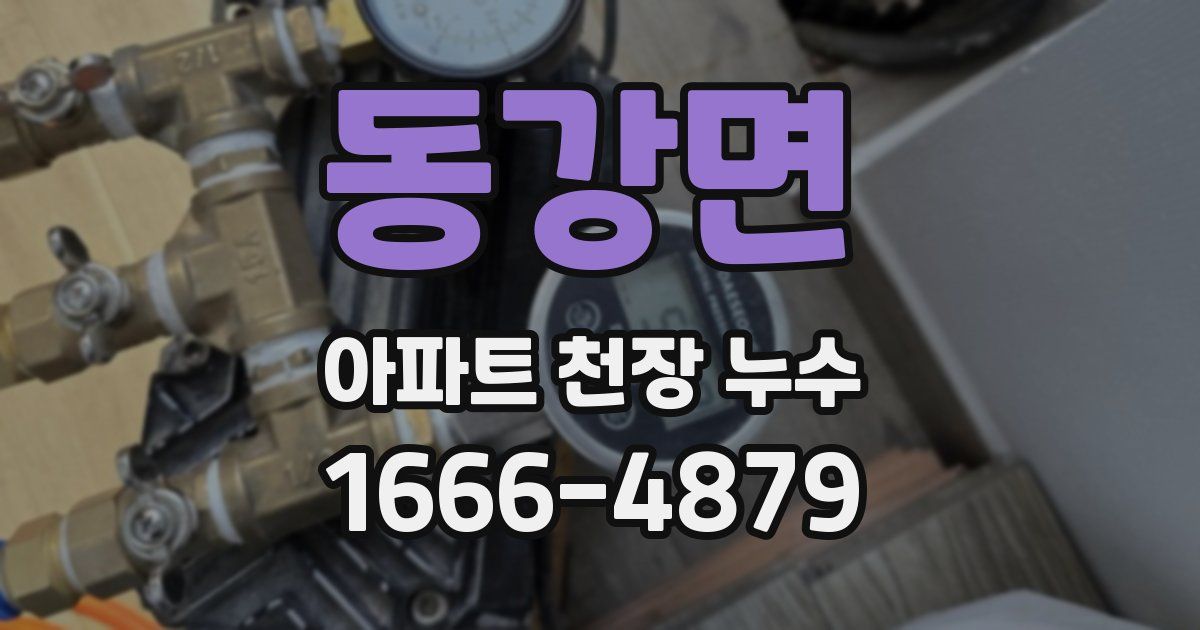 동강면 아파트 천장 누수