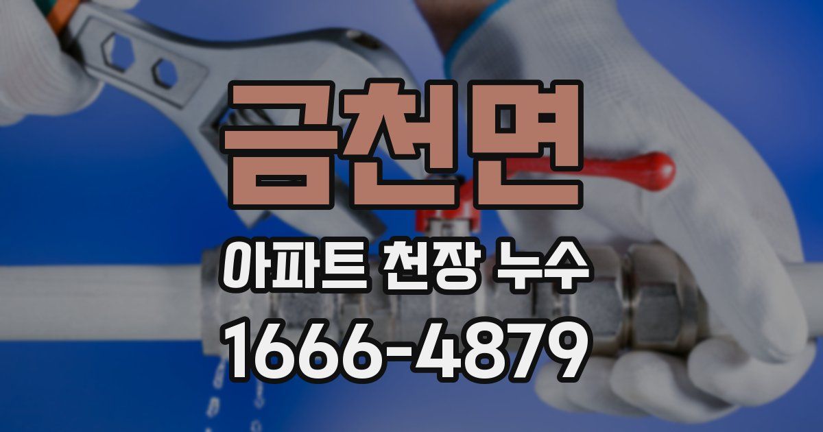 금천면 아파트 천장 누수