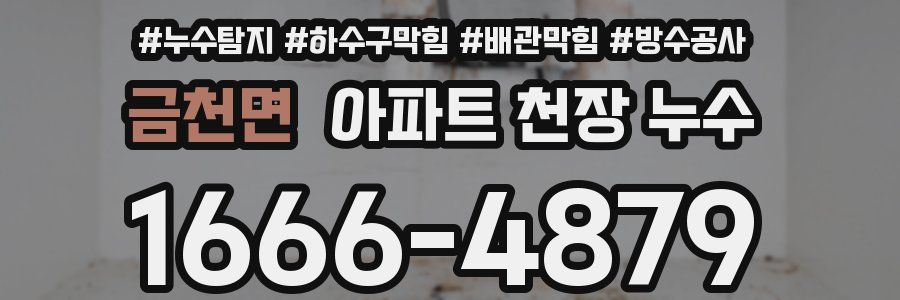 금천면 아파트 천장 누수
