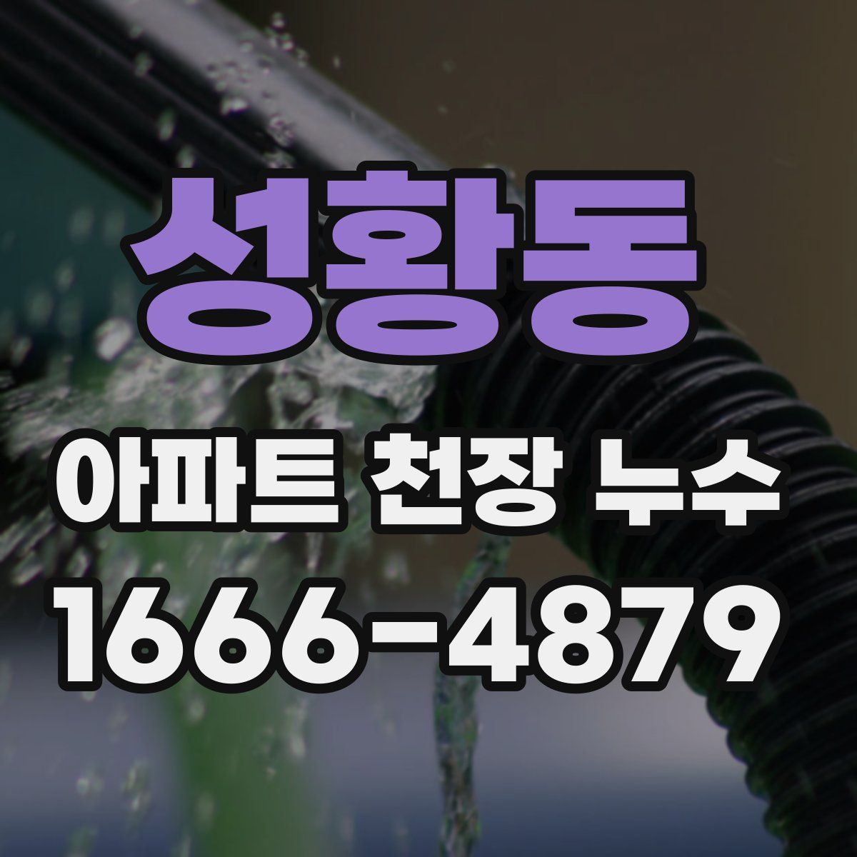 성황동 아파트 천장 누수