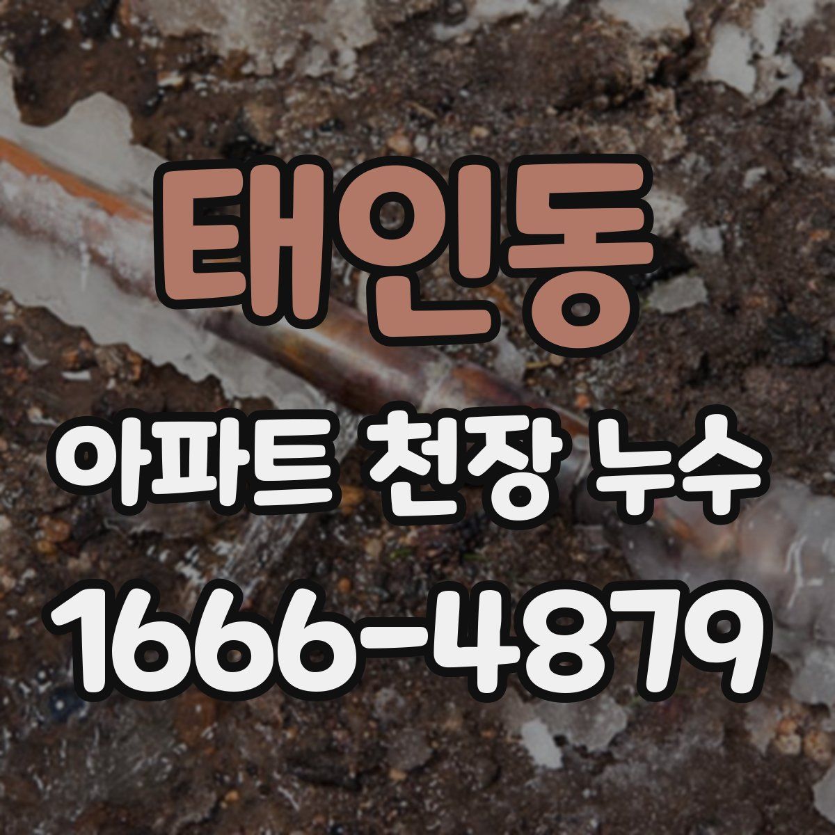 태인동 아파트 천장 누수