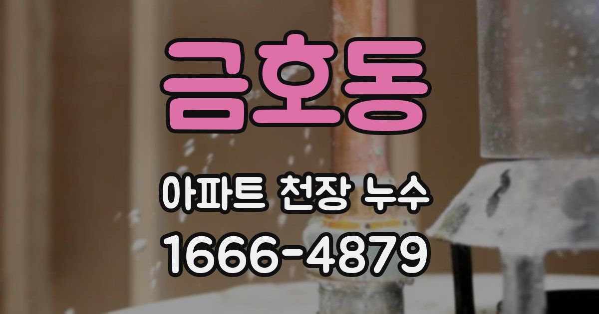 금호동 아파트 천장 누수