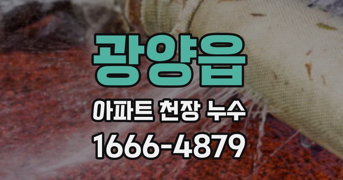 광양읍 아파트 천장 누수
