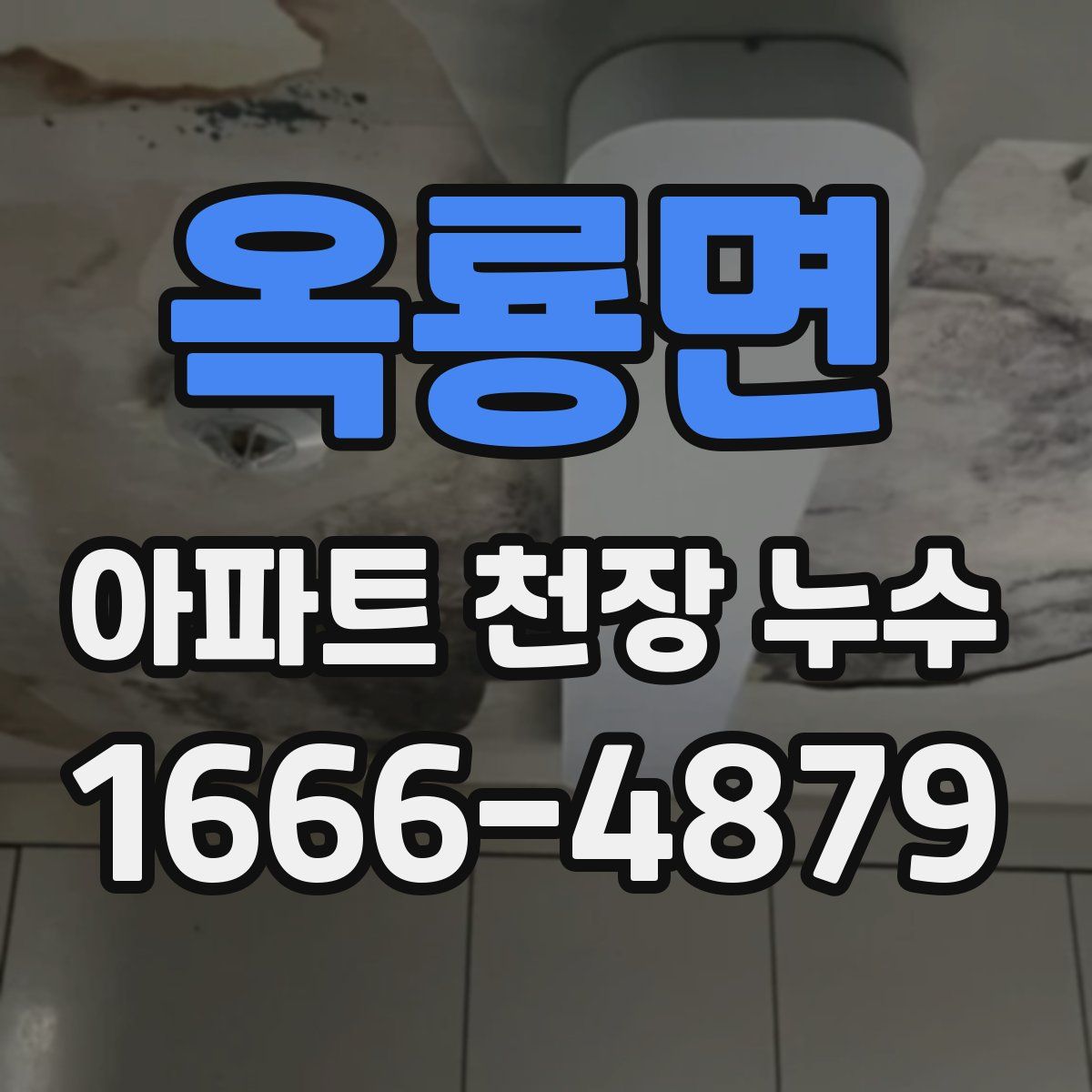 옥룡면 아파트 천장 누수