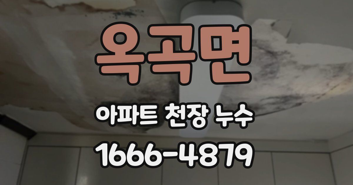 옥곡면 아파트 천장 누수