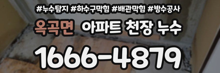 옥곡면 아파트 천장 누수