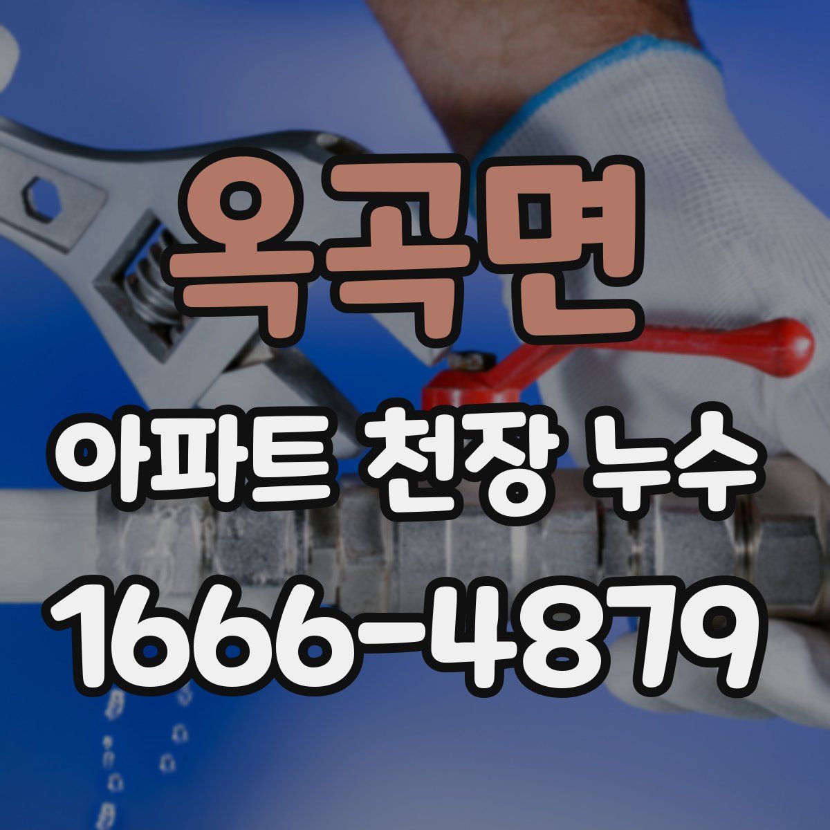 옥곡면 아파트 천장 누수