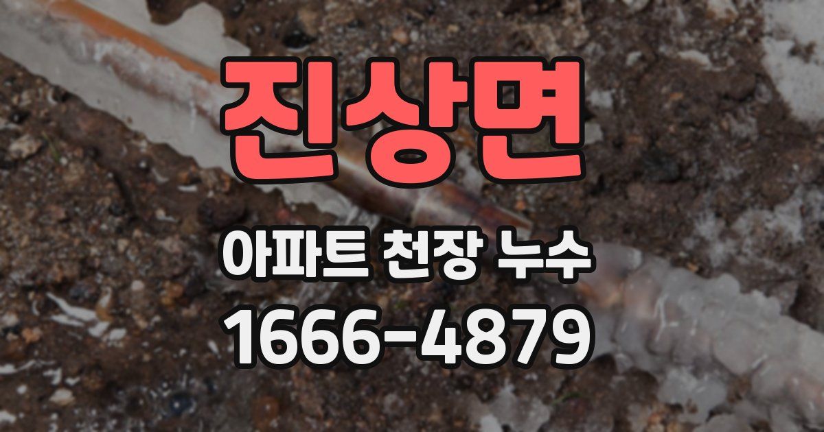 진상면 아파트 천장 누수