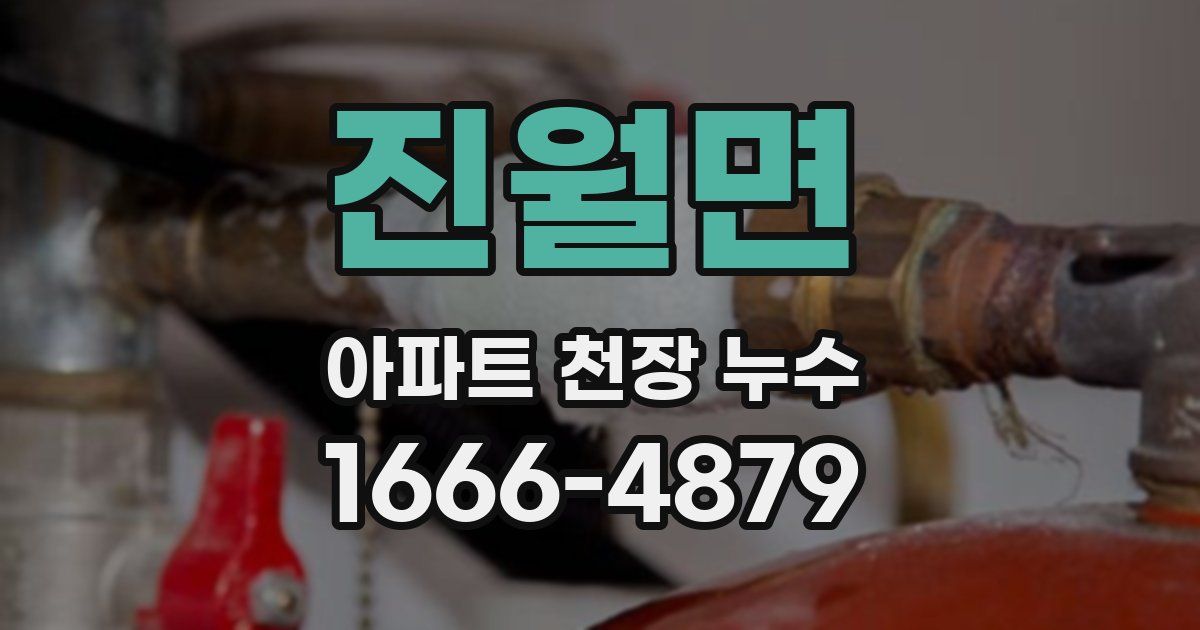 진월면 아파트 천장 누수