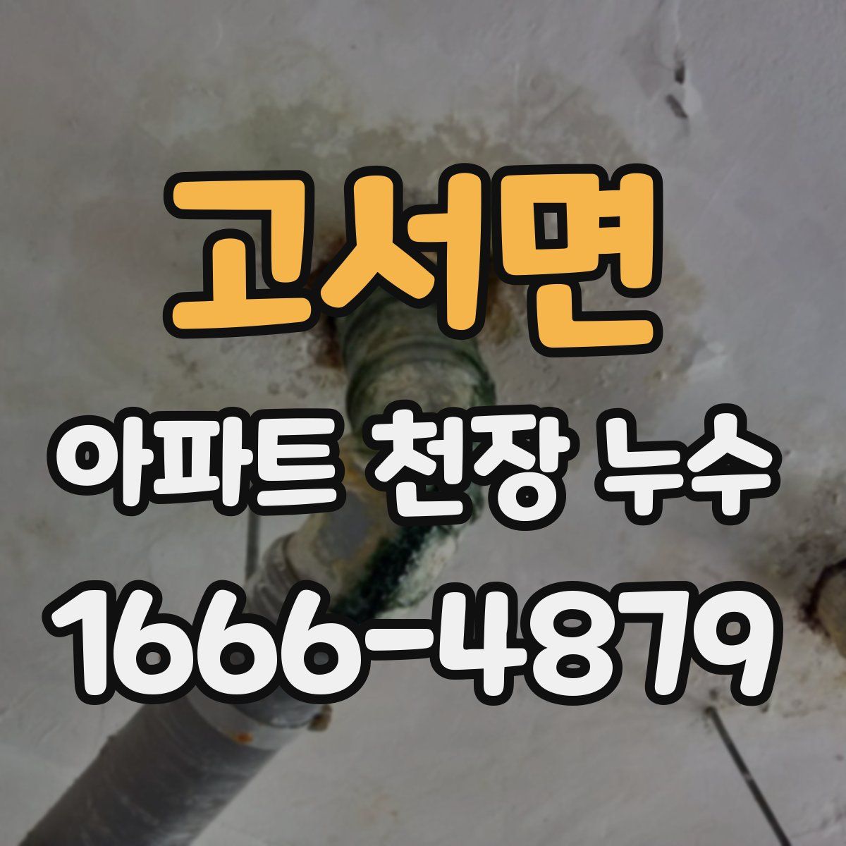 고서면 아파트 천장 누수