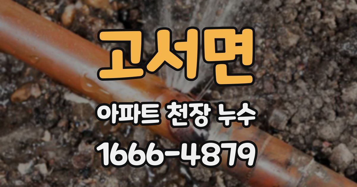 고서면 아파트 천장 누수
