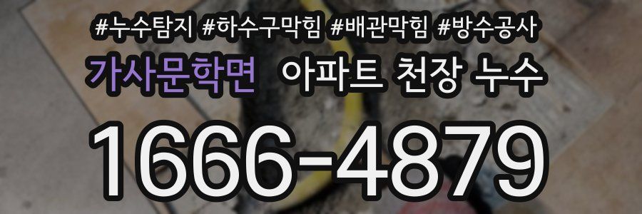 가사문학면 아파트 천장 누수