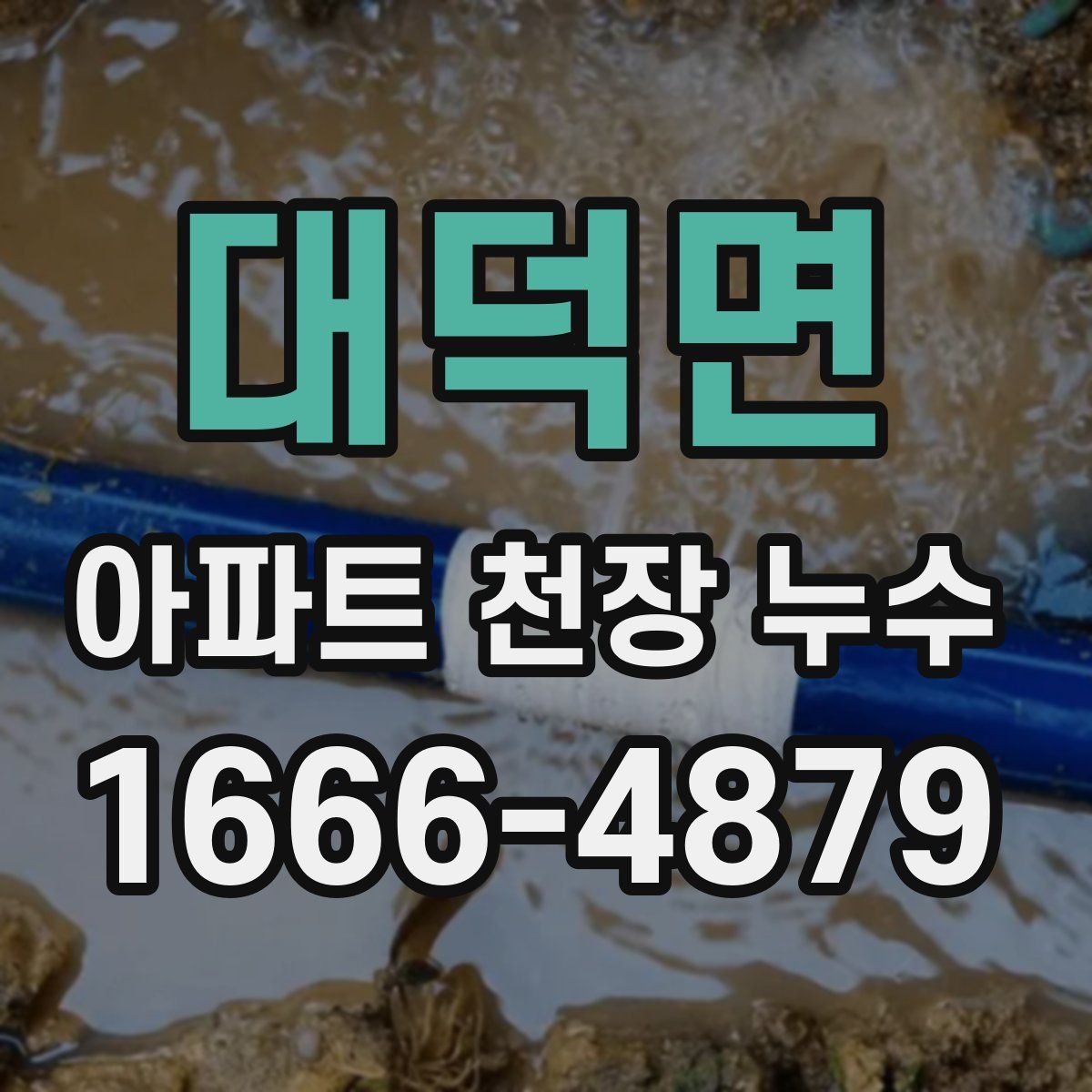 대덕면 아파트 천장 누수
