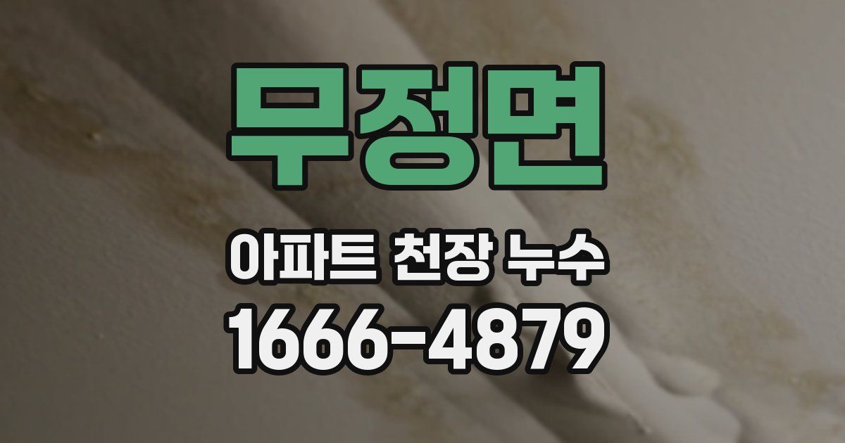 무정면 아파트 천장 누수